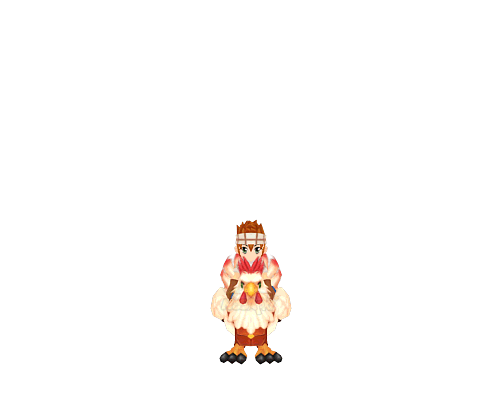 Marco Pollo