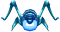Water Grasshopper